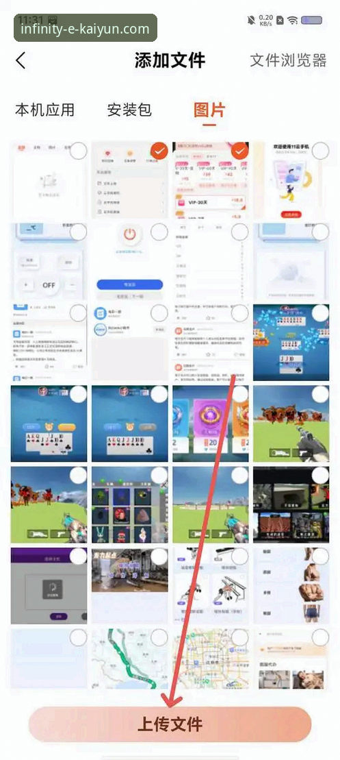 开云体育手机网页版 vs 原生App：移动端体验的深度解析与选择
